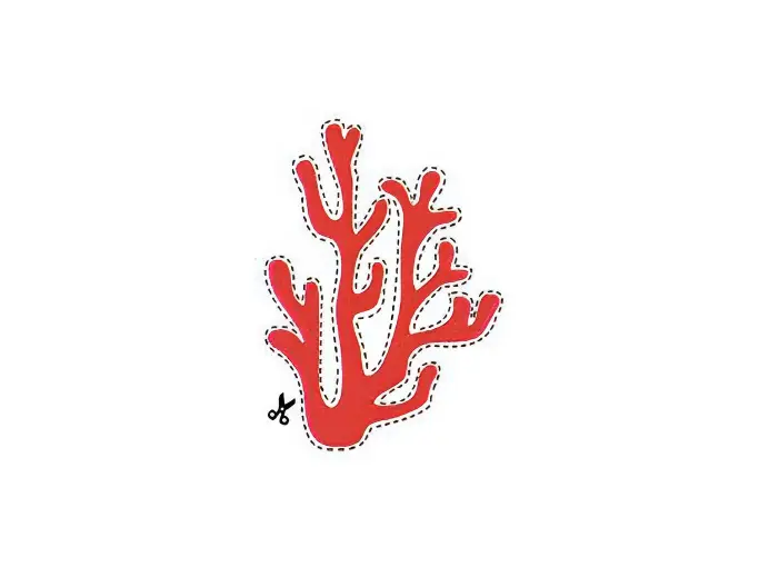 red-coral-1384x1038