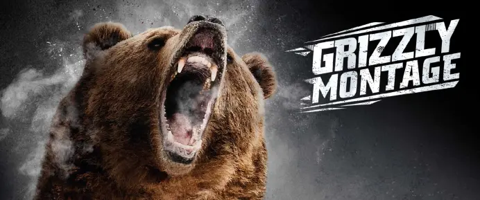 grizzly-montage-1600x668
