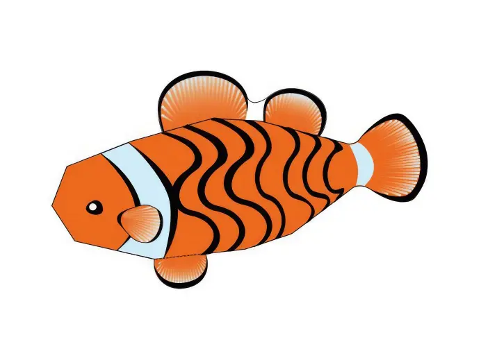 fish-1384x1038