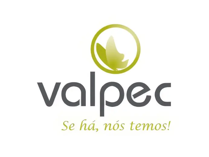 valpec-1384x1038
